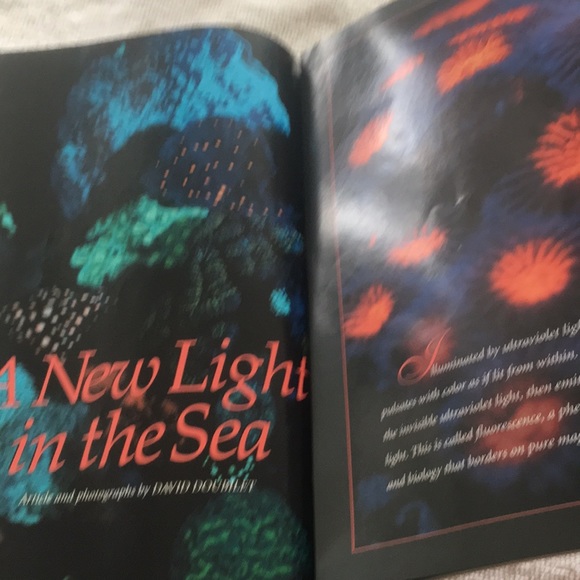 National Geographic Vol. 192 No. 2 August 1997 - Picture 6 of 14